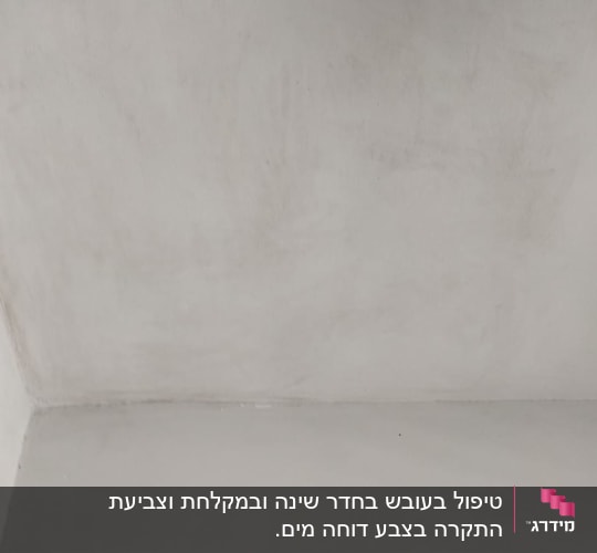 לפני